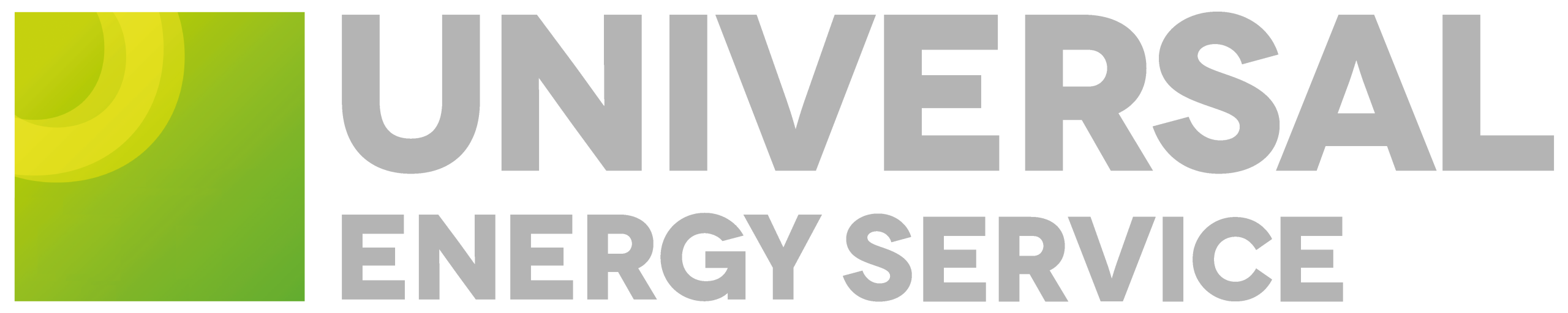 Universal Energy Service